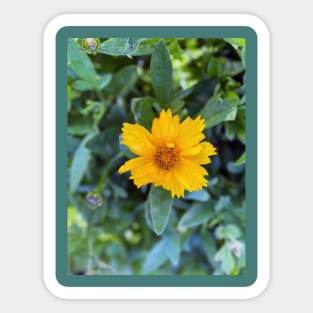 Yellow Flower Sticker